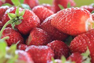 红色新鲜可口草莓图片下载
