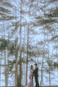 清晨树林情侣婚纱摄影精美图片
