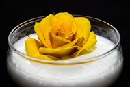 玻璃杯牛奶玫瑰花精美图片