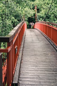 森林公园吊桥高清图片