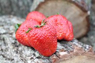 健康多汁红色草莓精美图片