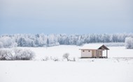 冬季雪景实拍高清图片