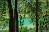 绿色生态林湖泊风景高清图片