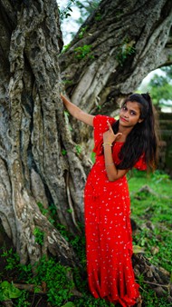 印度少女树下摄影图片