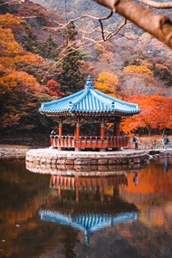 秋天韩国寺庙旅游景点精美图片