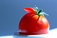 新鲜有机番茄高清图片