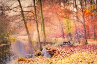 秋天的美景图片下载
