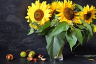 桌子板栗向日葵插花精美图片