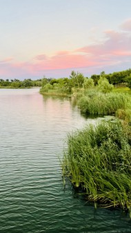 黄昏湿地公园风景精美图片