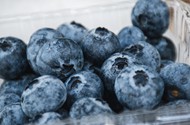 高清冷链新鲜蓝莓高清图片