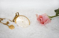 冬季雪地金色怀表粉色玫瑰花图片下载