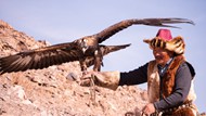 雄鹰与蒙古猎人图片下载