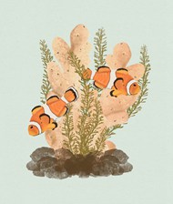 小丑鱼珊瑚手绘精美图片
