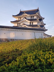 日式寺塔阁楼建筑精美图片