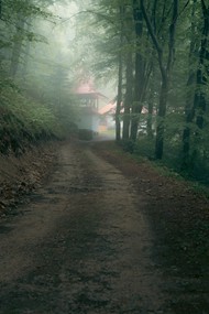 秋天清晨雾气缭绕树林风景精美图片