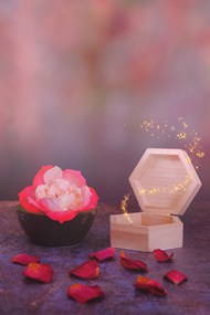 唯美玫瑰花瓣魔法盒图片大全