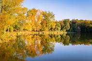 秋天金色树林湖泊风景图片下载