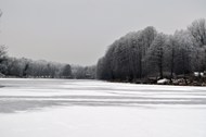 冬天树林湖泊结冰风景精美图片