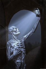 人体骨骼骷髅创意写真图片下载