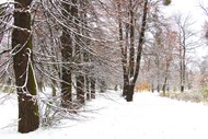 冬季雪树银花风景图片大全