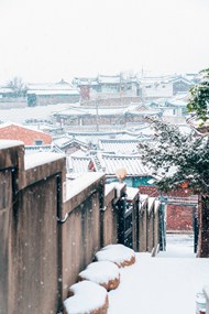 韩国汉城鹅毛大雪高清图片