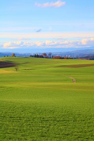 瑞士绿色草原风景图片下载