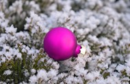 紫色圣诞彩球装饰物图片下载