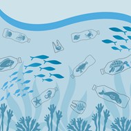 保护海洋资源卡通插画精美图片