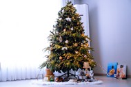 圣诞节圣诞树装饰图片下载