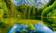 绿色山水树林风景图片