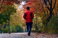 秋天公园树林散步男人背影图片下载
