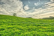 绿色山坡青草地高清图片