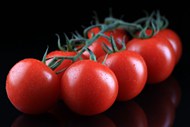红色新鲜有机番茄精美图片