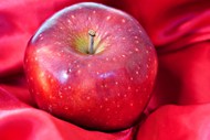 新鲜红富士苹果高清图片