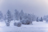 西伯利亚唯美雪景精美图片