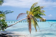 波利尼西亚海岛风景图片下载