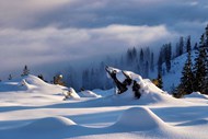 冬季冰雪世界雪松风景高清图片