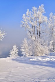 冬季白雪冰雪世界风景图片大全