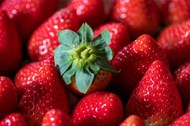 新鲜丹东草莓高清图片