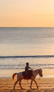 黄昏巴厘岛海滩小男孩骑马高清图片