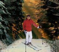 冬季树林美女雪地滑雪图片下载
