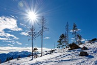冬季烈日当空雪山风光写真图片
