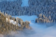 冬天森林云雾缭绕风景写真图片下载