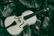 岩石堆上的白色小提琴图片下载
