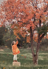 秋天站在树下的小女孩图片大全