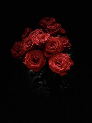 黑色艺术玫瑰花写真图片