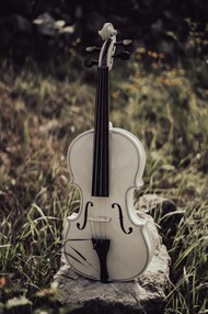 户外荒野白色小提琴精美图片