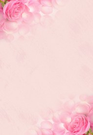 粉色玫瑰花淡雅背景图片下载