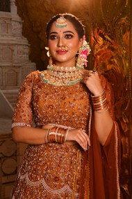 印度传统华丽服饰美女图片大全