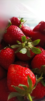 红色新鲜有机草莓高清图片